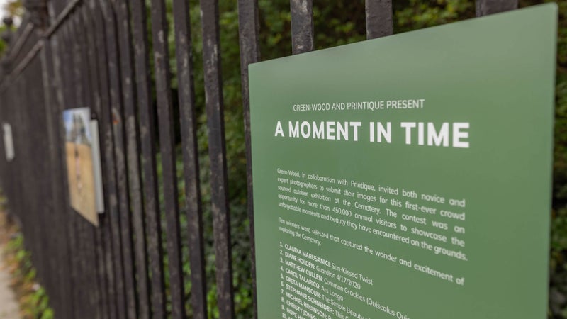 Now on Display: Green-Wood x Printique Photo Contest Winners